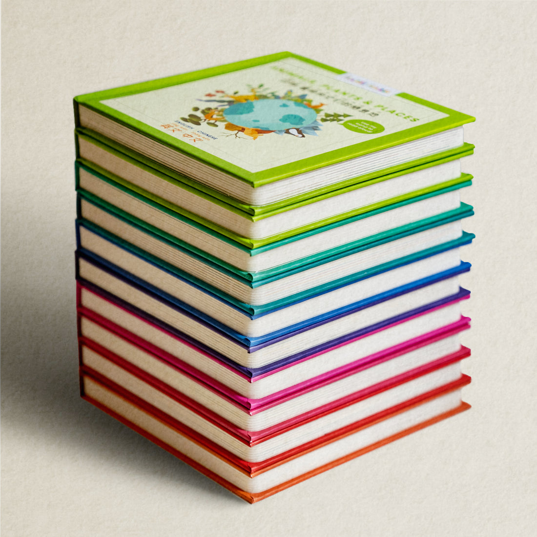 Custom 10-book set (No Wand)