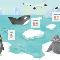ZERO WASTE: Animals, Plants & Places