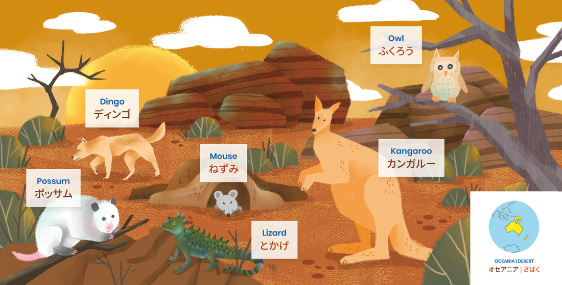 Animals, Plants & Places