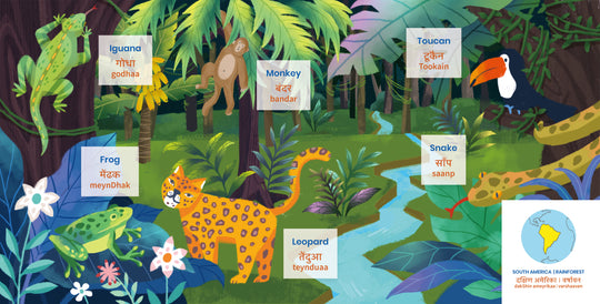 Animals, Plants & Places | Word