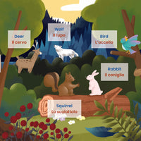 Animals, Plants & Places