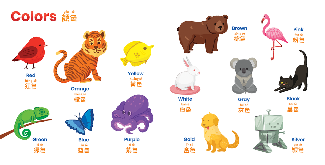 Chinese vocabulary for kids. Book of First Words teaches colors, numbers and other early words in Chinese.