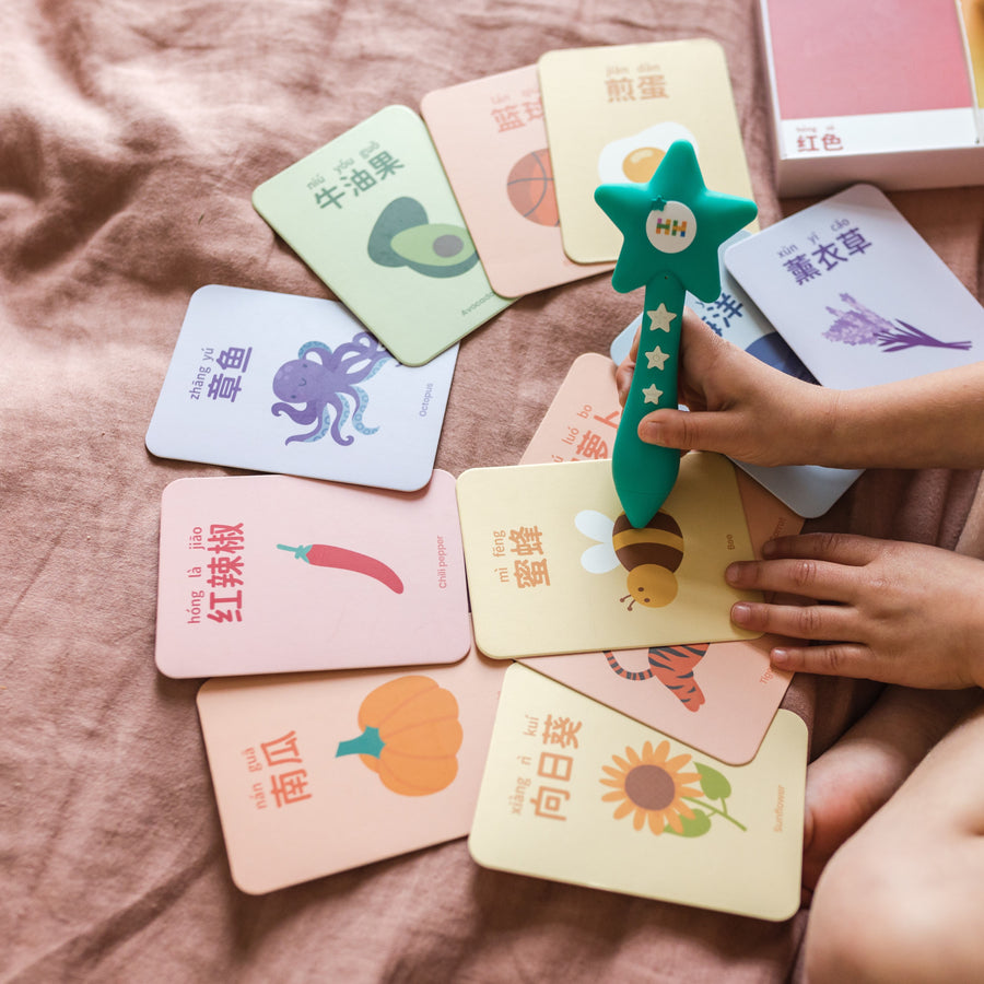 Rainbow Vocabulary Bilingual Flashcards