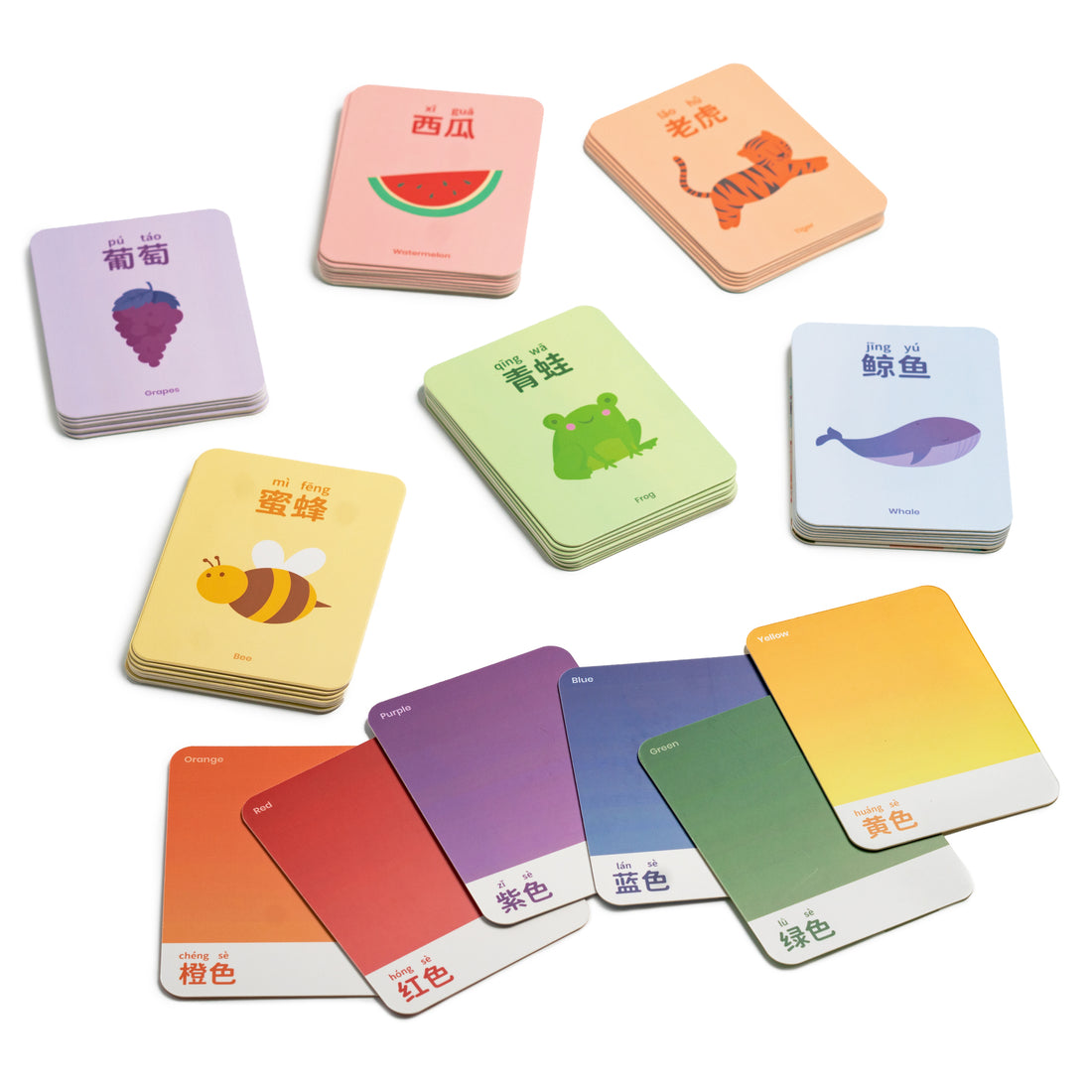 Rainbow Vocabulary Bilingual Flashcards