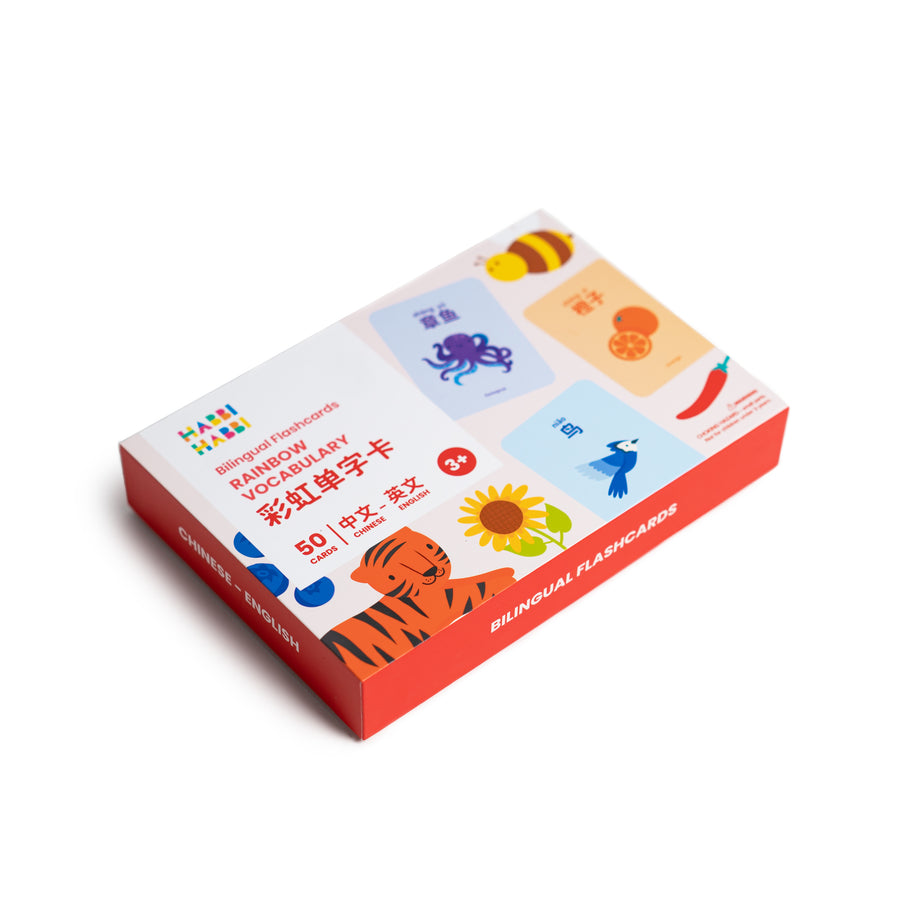 Rainbow Vocabulary Bilingual Flashcards